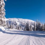 Cottage Cheese Benefits for Healthy Living