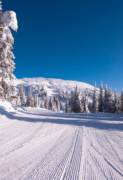 5 Reasons Why Winter is the Best Time to Travel