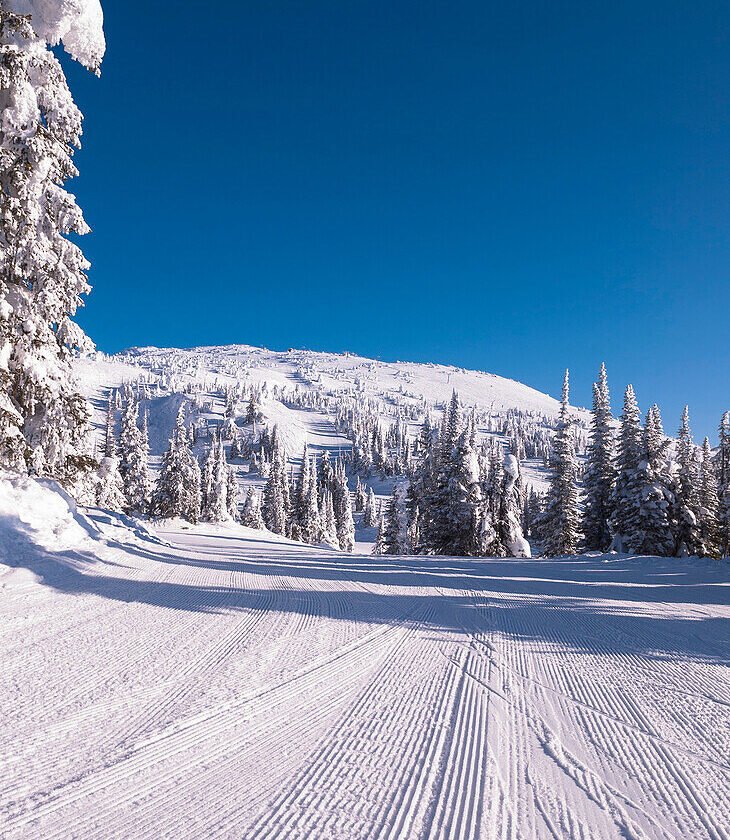 5 Reasons Why Winter is the Best Time to Travel